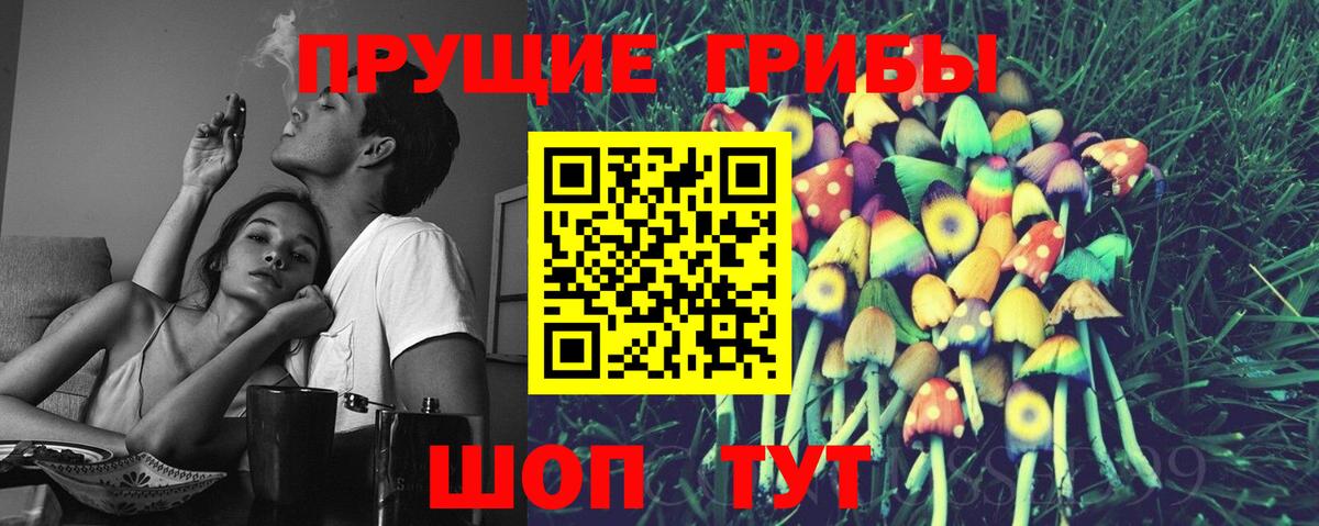 где можно купить наркотик  Псилоцибиновые грибы Magic Shrooms  Липецк  Вход с VPN  Галлюциногенные грибы GOLDEN TEACHER 